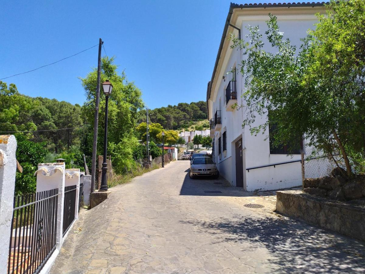 Vivienda Majaceite Apartment El Bosque Luaran gambar