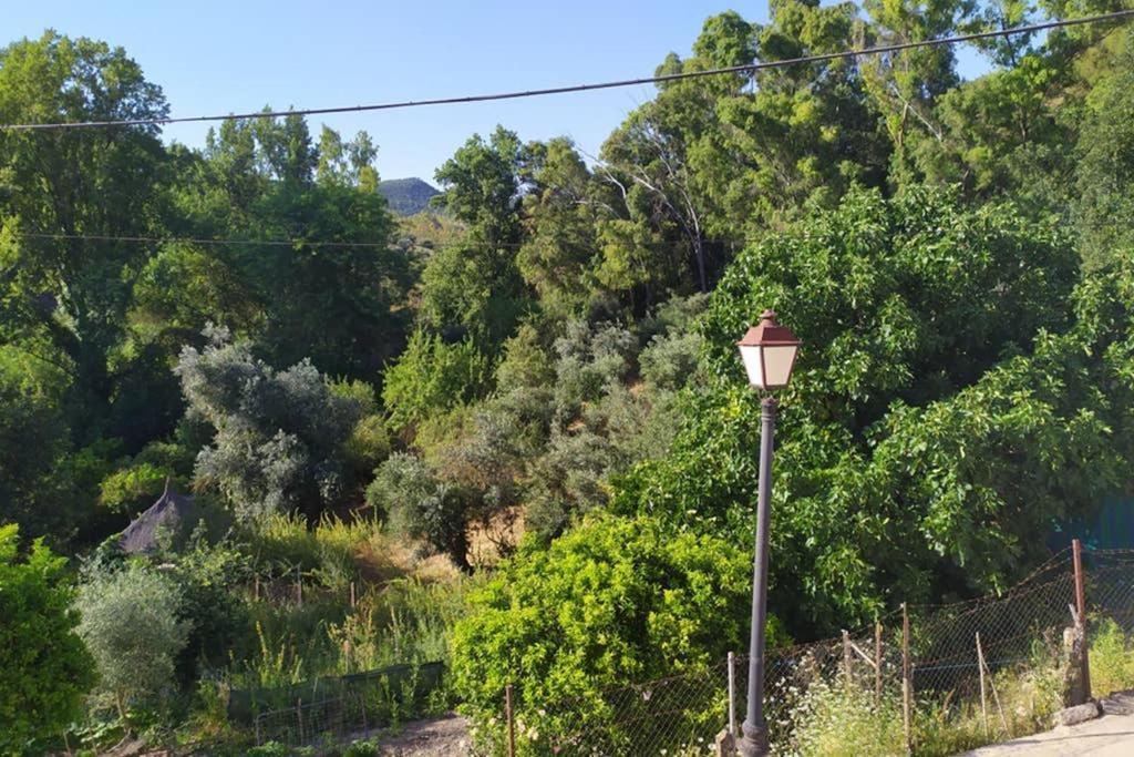 Vivienda Majaceite Apartment El Bosque Luaran gambar