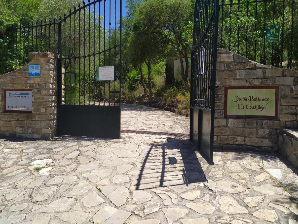 Vivienda Majaceite Apartment El Bosque Luaran gambar